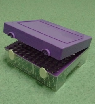 miniatura